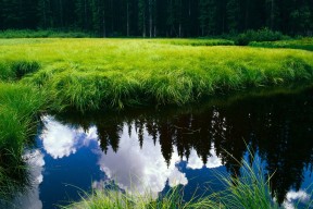 九游网页版入口-外教带队风格与球队适应性矛盾，外教团队对训练的要求很高