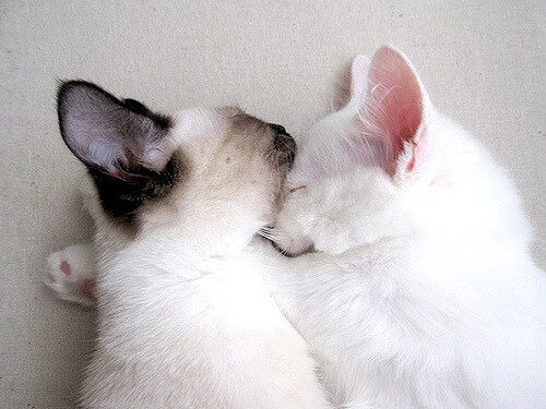 青少年体育运动中的安全教育对策，青少年体育运动中的安全教育对策有哪些