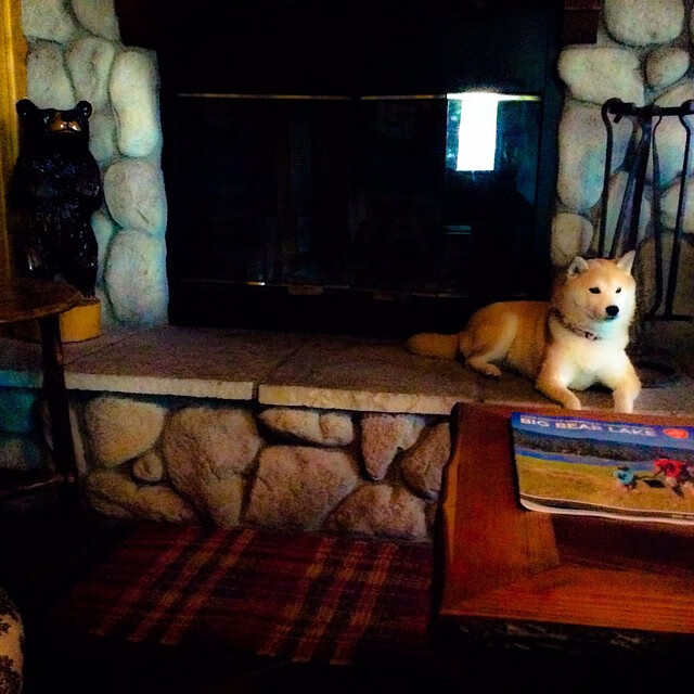 “2025世界运动会：高新体育中心沙滩排球赛事成观众亮点”