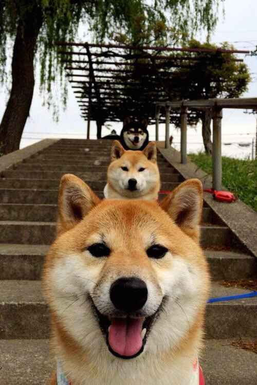 五大联赛最受瞩目的金童之争走向如何，金童排名