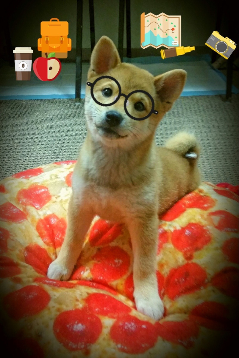 拜仁二次进攻组织效率极高,拜仁两次犯错