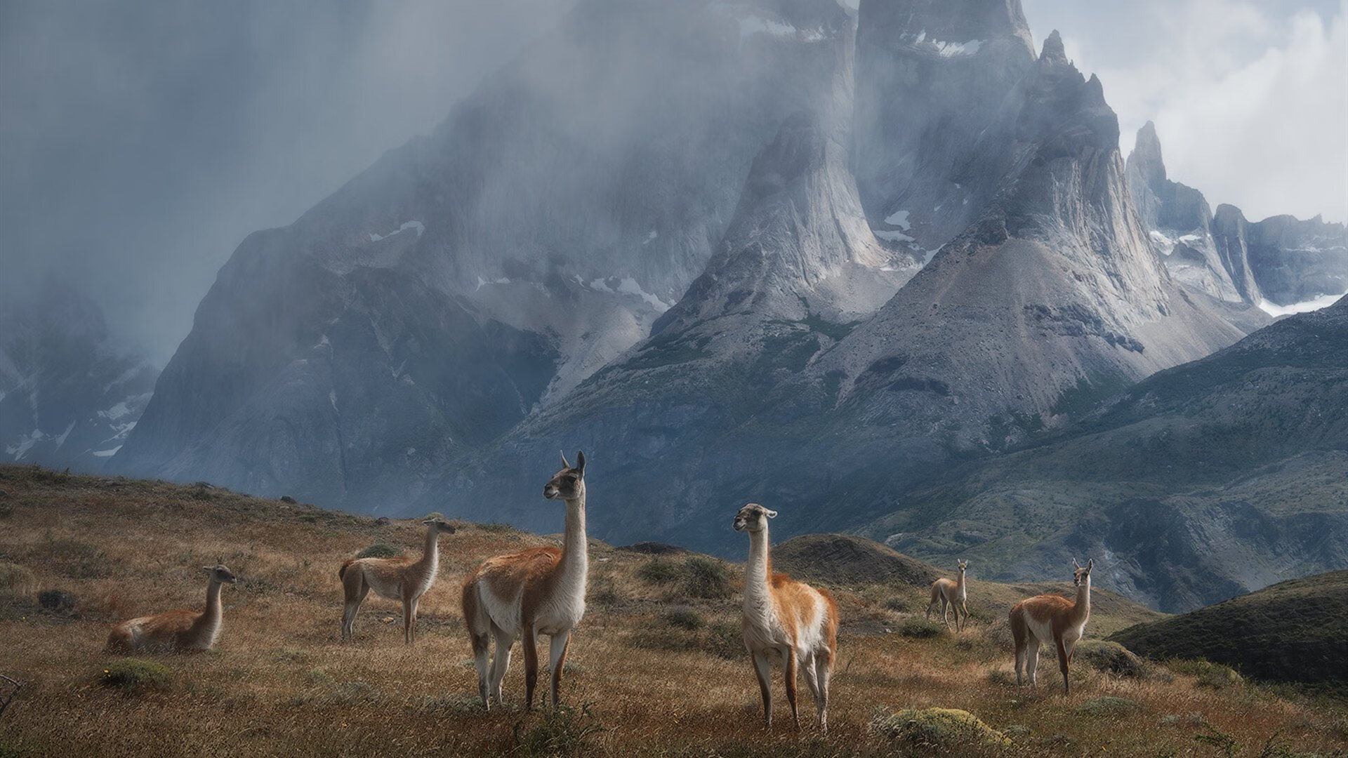 全队训练体系趋于标准化与国际接轨，全队训练体系趋于标准化与国际接轨问题