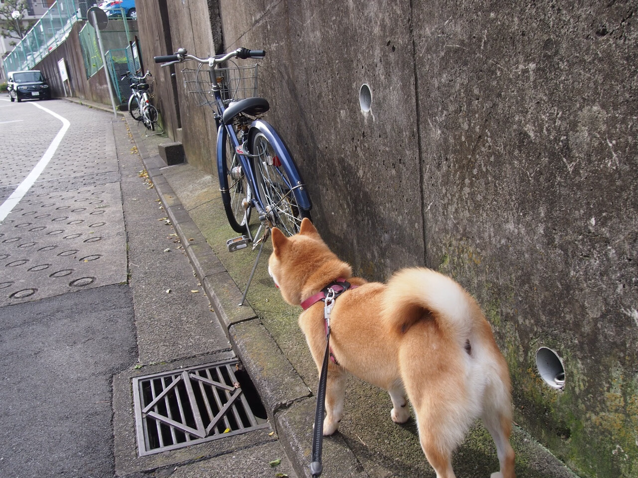 国家体育文化研究所发布体育题材文艺作品创作扶持计划,国家体育文件