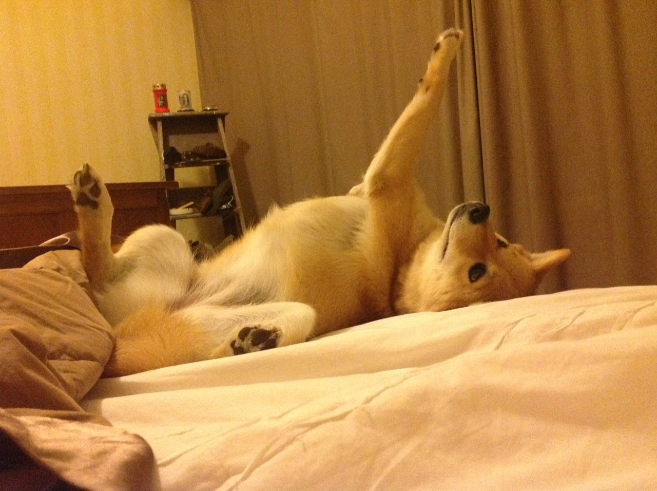 德甲联赛节奏变化趋势分析,德甲联赛节奏变化趋势分析图