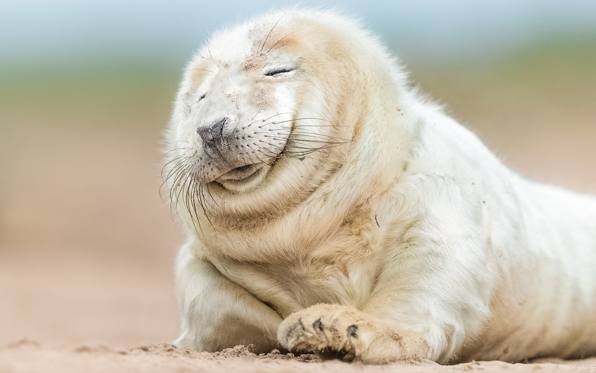 恩多比·恩乔的精准罚球使南非队连续领先，多恩比纳