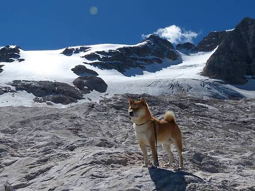朱婷带领队友进行赛前封闭训练,朱婷带队出发