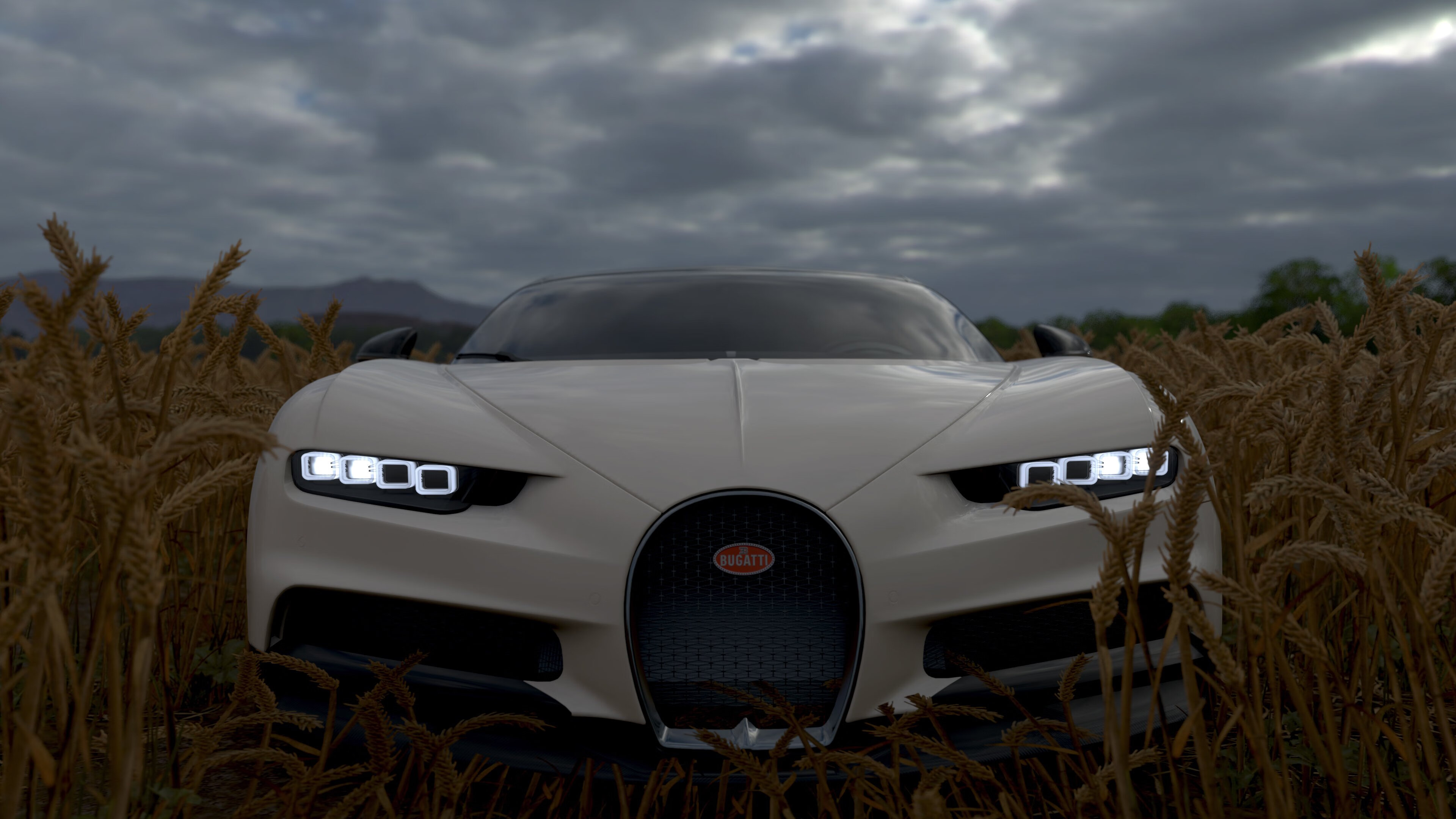 格林伍德凭借精准预判与坚决防守，帮助袋鼠队制胜，格林伍德打什么位置