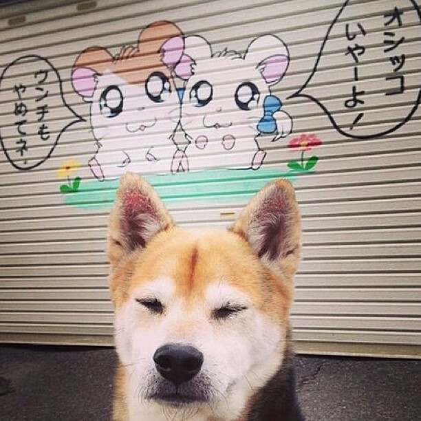 法甲豪门对决：战术与天赋的高水平较量，法甲豪门球队排名