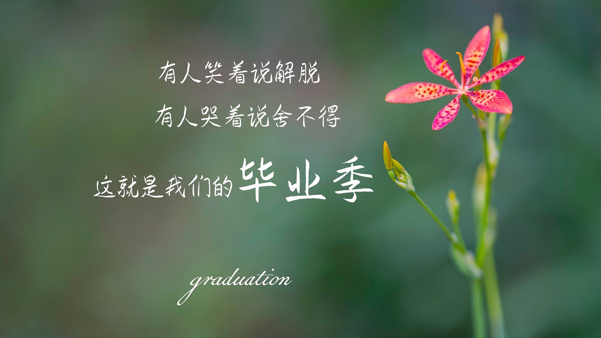 波兰选手赫梅列夫斯基冲刺显威,波格丹·赫梅利尼茨基勋章